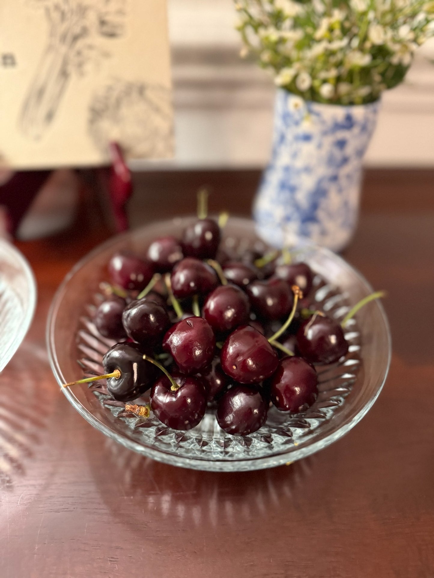 Ribbed Pattern Clear Glass Plates Set of 4