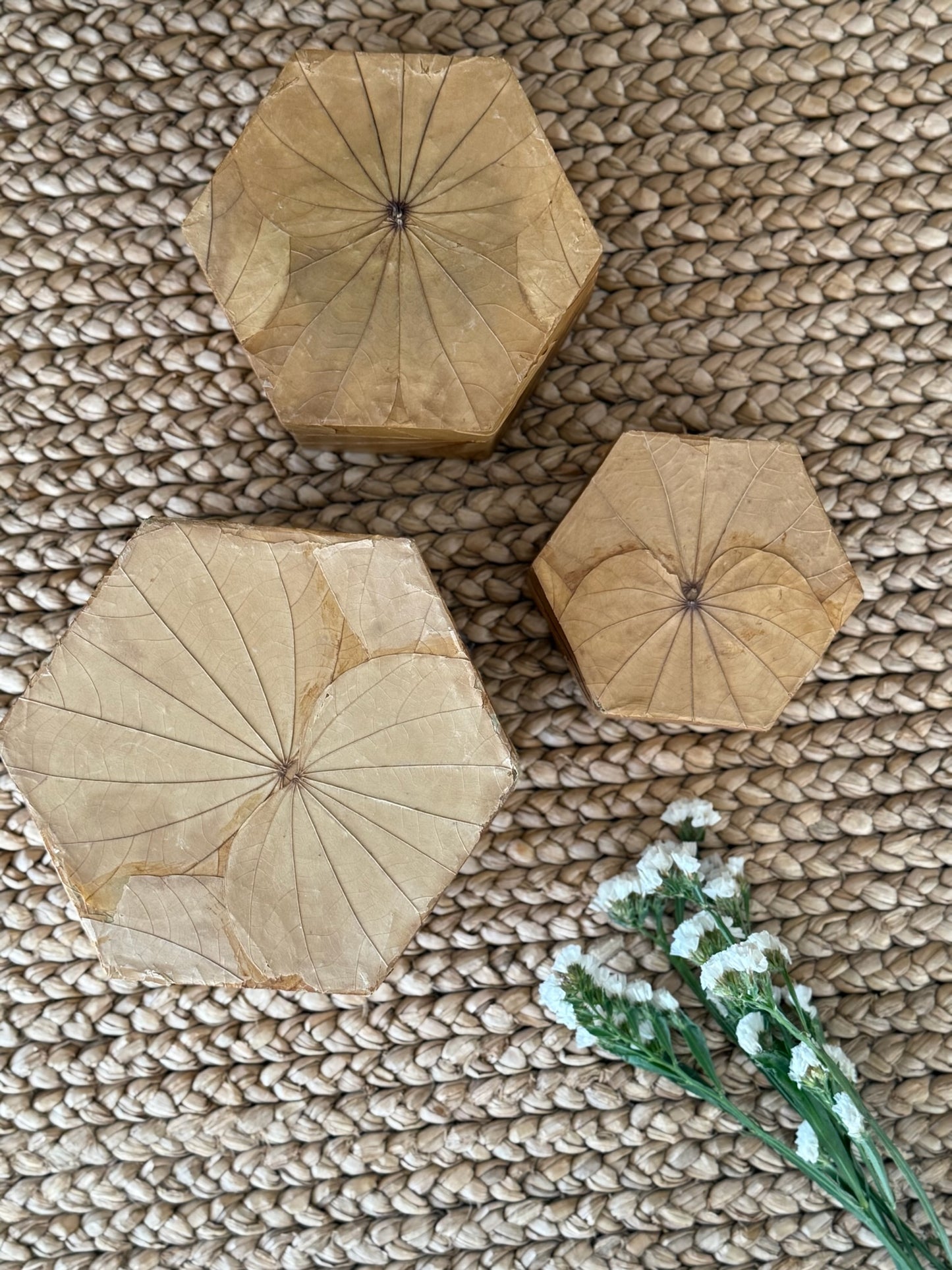 Leaf Print Storage Boxes Set of 3